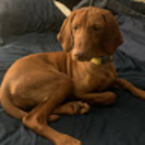 Meet your Posher, Jaisee